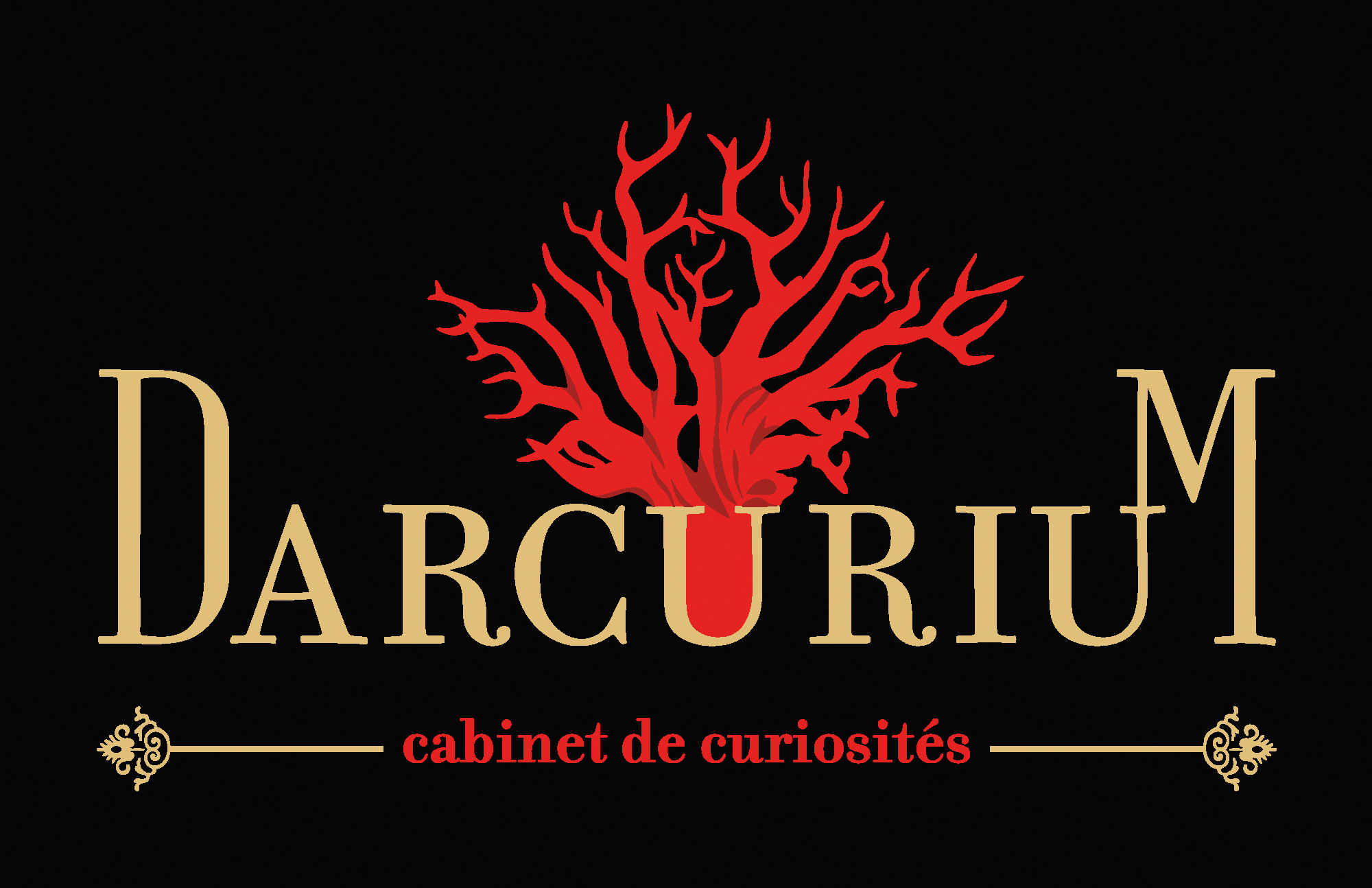 Logo Darcurium, cabinet e curiosités